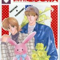  ����� Shoujo Manga Teki Risou to Genjitsu <small>Story & Art</small> 